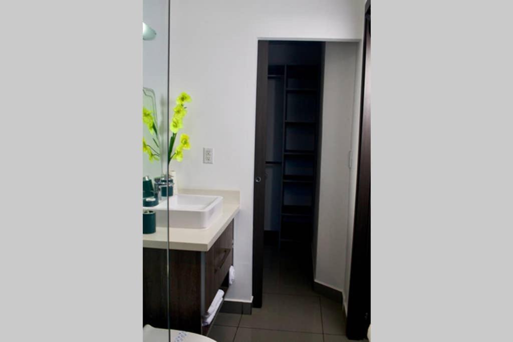 Lujoso Y Acogedor Condominio Ejecutivo/Familiar San Pedro Sula Zewnętrze zdjęcie
